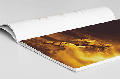 画册设计公司：以创新为翼，引领品牌视觉新风尚